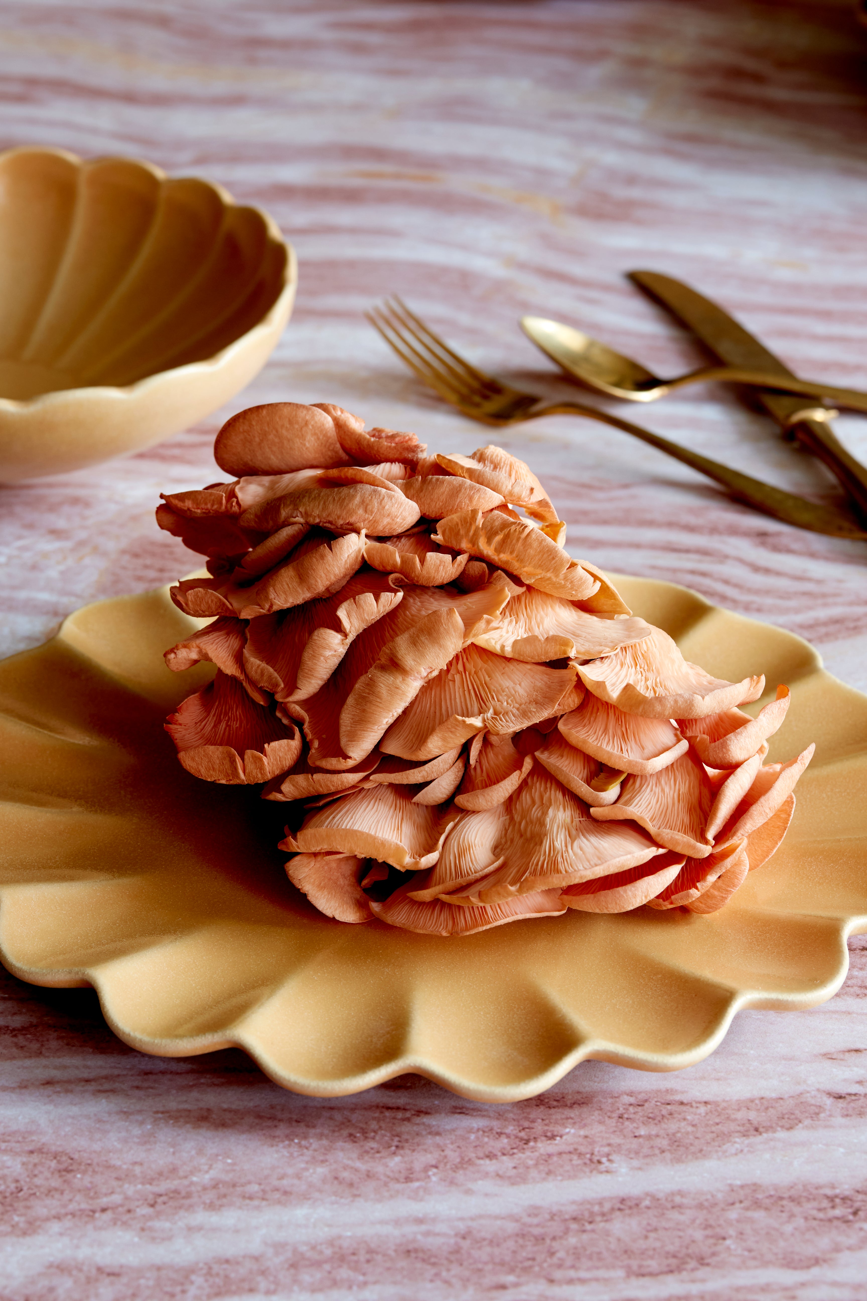 Dhalia Stoneware Bowl - Camel