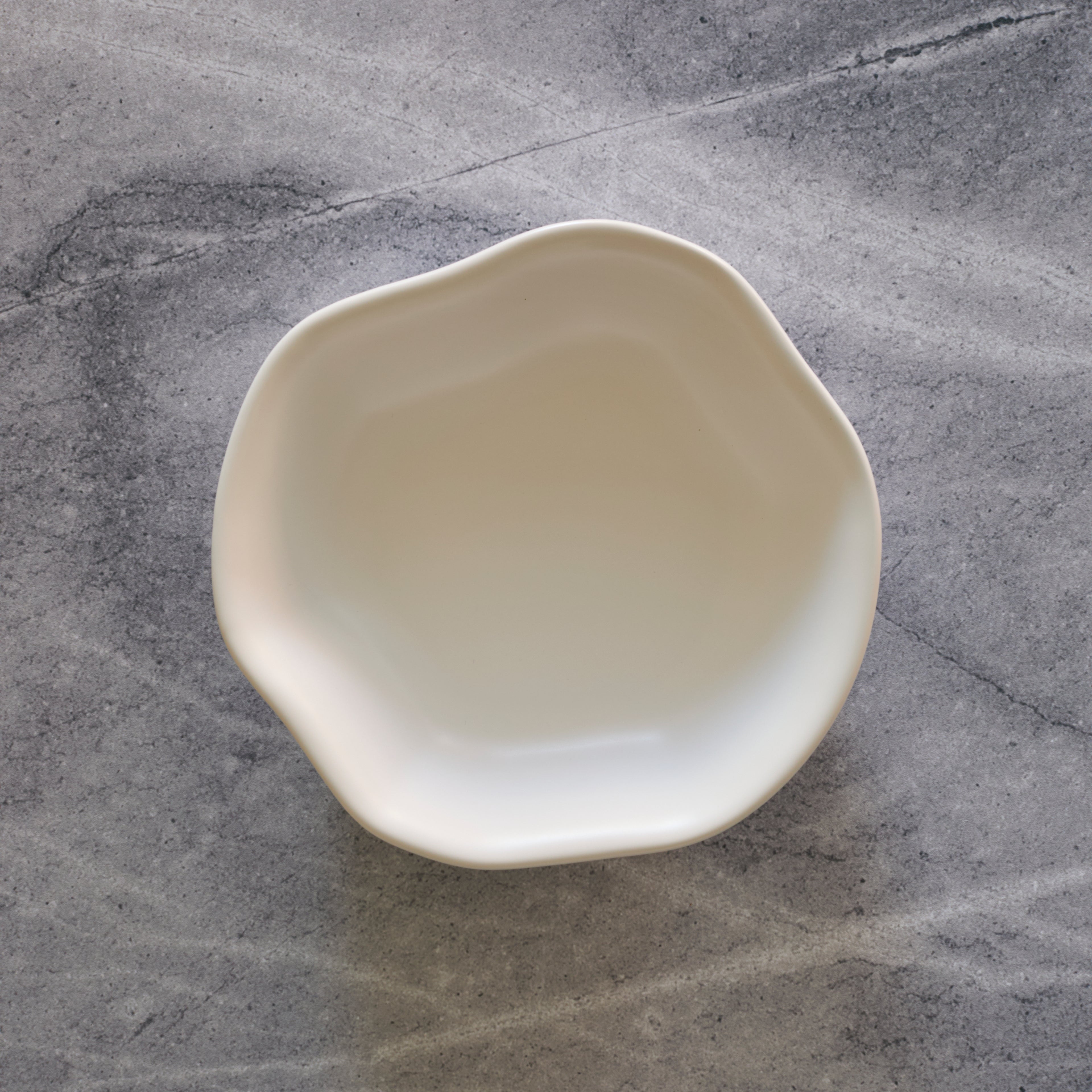 Amorphous Stoneware Pasta Bowl Set - White