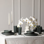 Elio Stoneware Dinnerware Set - Green
