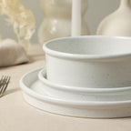 Roscoe Stoneware Dinnerware Set - White Speckled